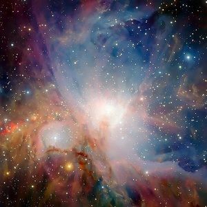 Meet your Posher, Austin